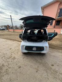 Yoyo incidentata a 3 mesi di vita 2024