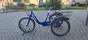 ebike-tre-ruote-24-