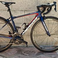 Merida scultura team