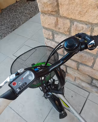 Bicicletta a pedalata assistita