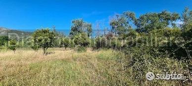 Terreno agricolo 5.000mq Castiglione di Sicilia