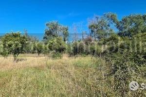 Terreno agricolo 5.000mq Castiglione di Sicilia