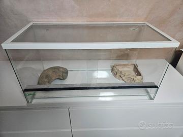 Teca per rettili