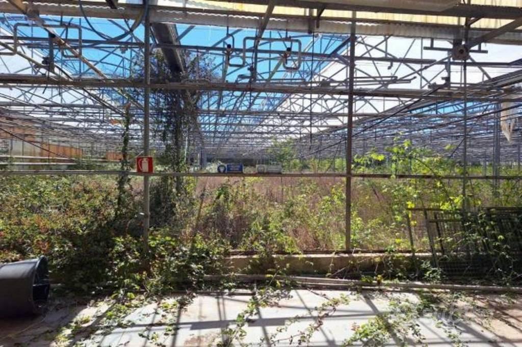 Immobile in asta di 40759 m² a Terracina - Altro