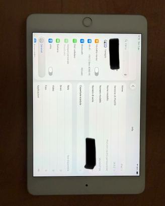 iPad mini 5 generazione wifi + cellular 256 gb