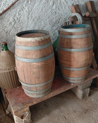 Botti legno rovere 