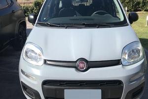 FIAT PANDA 1.2