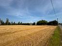 terreno-a-bellaria-igea-marina