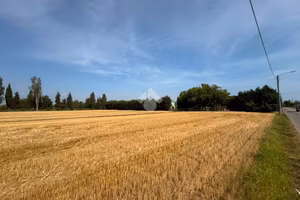 TERRENO A BELLARIA-IGEA MARINA