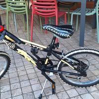 Bicicletta bambino tg 20