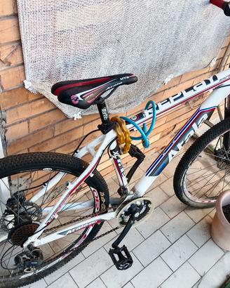 Mountain bike Atala Replay