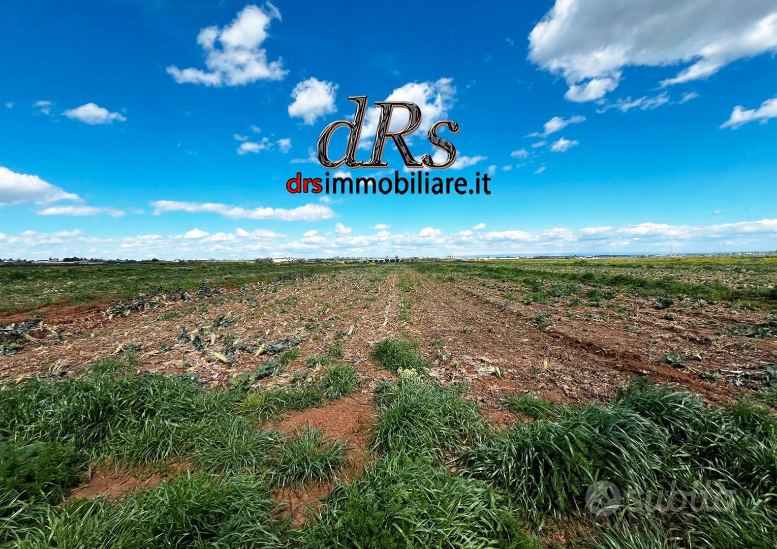 Agro di Marconia. Terreno agricolo di 3 ettari - Vista 2