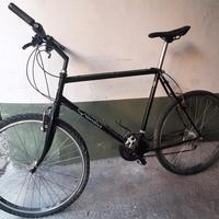 Arrampichino Grandis