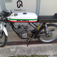 Malanca testarossa