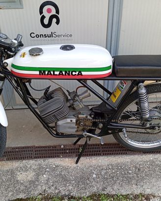 Malanca testarossa