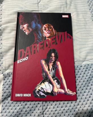 Daredevil collection n 23 echo