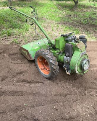 Motocoltivatore 14 cv grillo