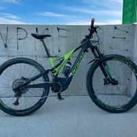 Specialized turbo levo expert carbon