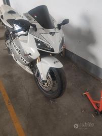 Honda 600rr
