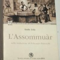 l’assommuàr di Emile Zola