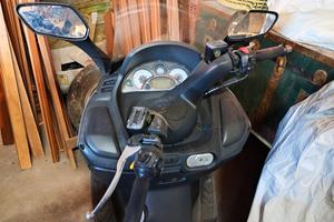 scooter syn Joy max 250