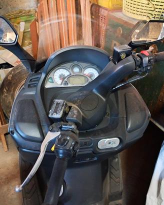 scooter syn Joy max 250