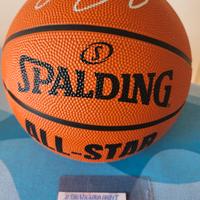 Pallone Nba autografato Lebron James con COA 