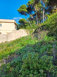 Terreno Edificabile Valderice Ragosia panoramico
