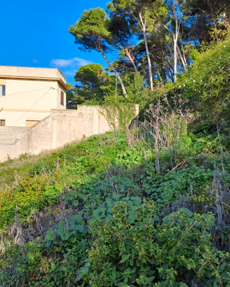 Terreno Edificabile Valderice Ragosia panoramico