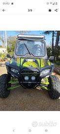 Polaris rzr 900 monster