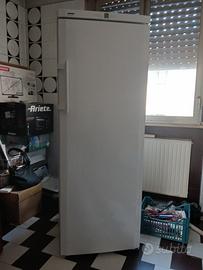 freezer Liebherr
