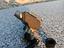 Immagine 5