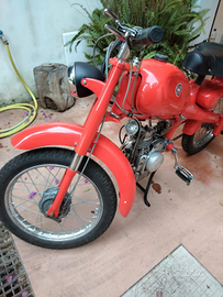 Motom 48 196