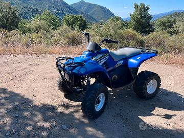 Quad polaris Trailboss 330