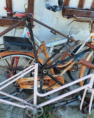 Bici telai e accessori vari