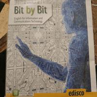 Bit by Bit edisco