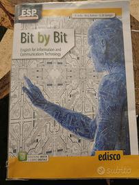 Bit by Bit edisco