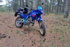 honda dominator nx650 