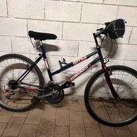 Bicicletta mountain bike
