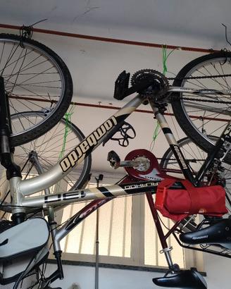 Mountain bike Lombardo Kalahdo 130