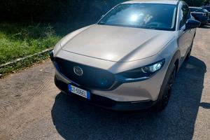 Mazda Cx30 Cv 186 Nagisa