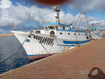 Motopesca " Nuovo vegliardo"