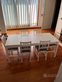 Tavolo da pranzo Ikea Ekadelen 6 sedie Stefan