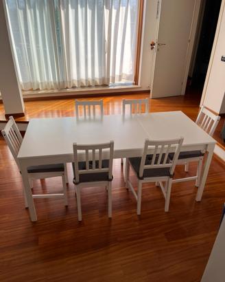 Tavolo da pranzo Ikea Ekadelen 6 sedie Stefan