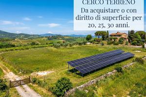 TERRENI DA 1 ettaro in su….