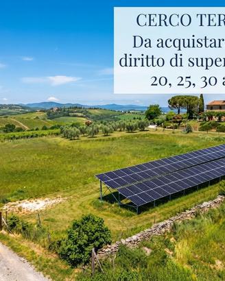 TERRENI DA 1 ettaro in su….