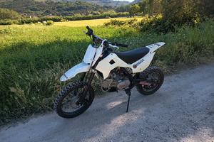 kayo pit bike 160