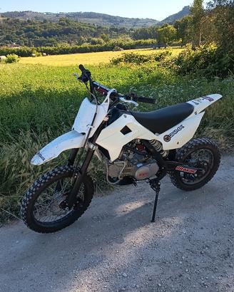 kayo pit bike 160