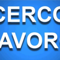 Badante x signora autosufficiente