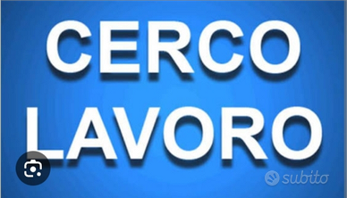 Badante x signora autosufficiente